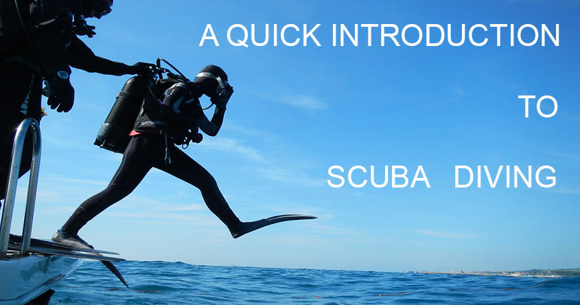 Introducing: Diving Deep