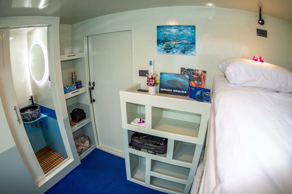 cabin bunk bed stingray liveaboard